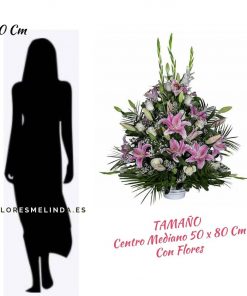 Centro funerario para tanatorios M30 precios