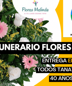 Centro funerario Melinda precio