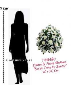 Centro funerario de claveles Lourdes