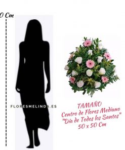 Centro funerario para tanatorios Melinda precios