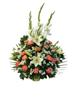 Centro funerario Especial para tanatorios