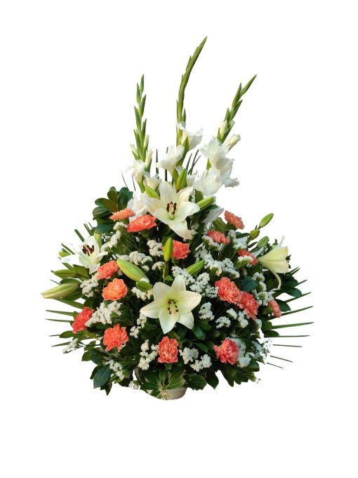 Centro funerario Especial para tanatorios
