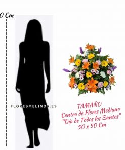 Centro funerario para tanatorio Original precio