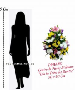 Centro funerario Natural para tanatorios Madrid precios