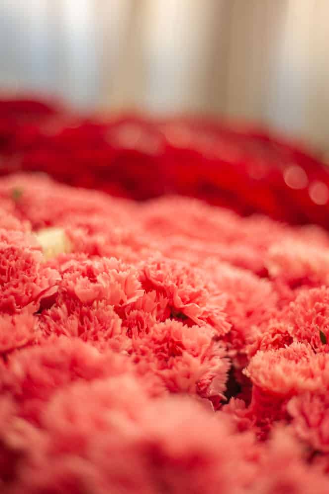 Precio de coronas de flores para funeral