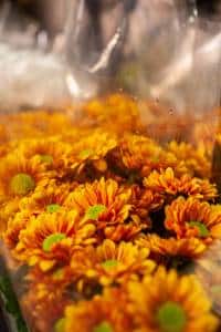 Arreglos florales fúnebres en Madrid