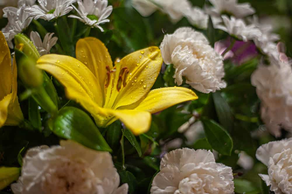 Flores funerarias para tanatorios precios
