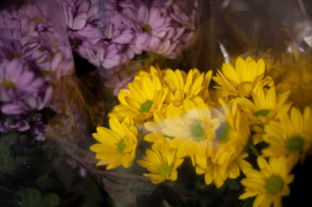 Flores para difuntos Madrid precios