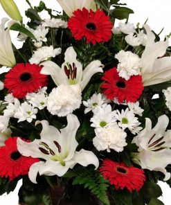 Centro fúnebre Servisa precios