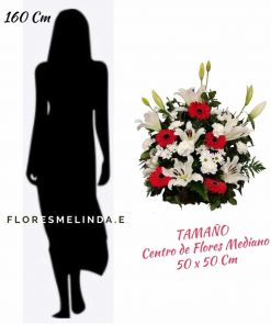 Centro fúnebre tanatorio Servisa