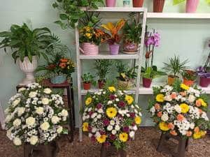 Florería Fúnebre cerca del tanatorio M30 Madrid