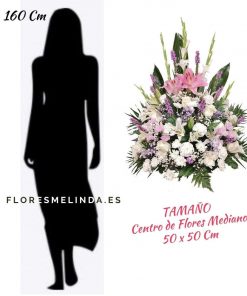 Centro funerario Pozuelo precios