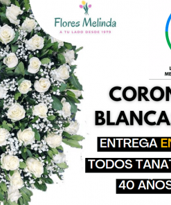 Corona funeraria Moderna precio